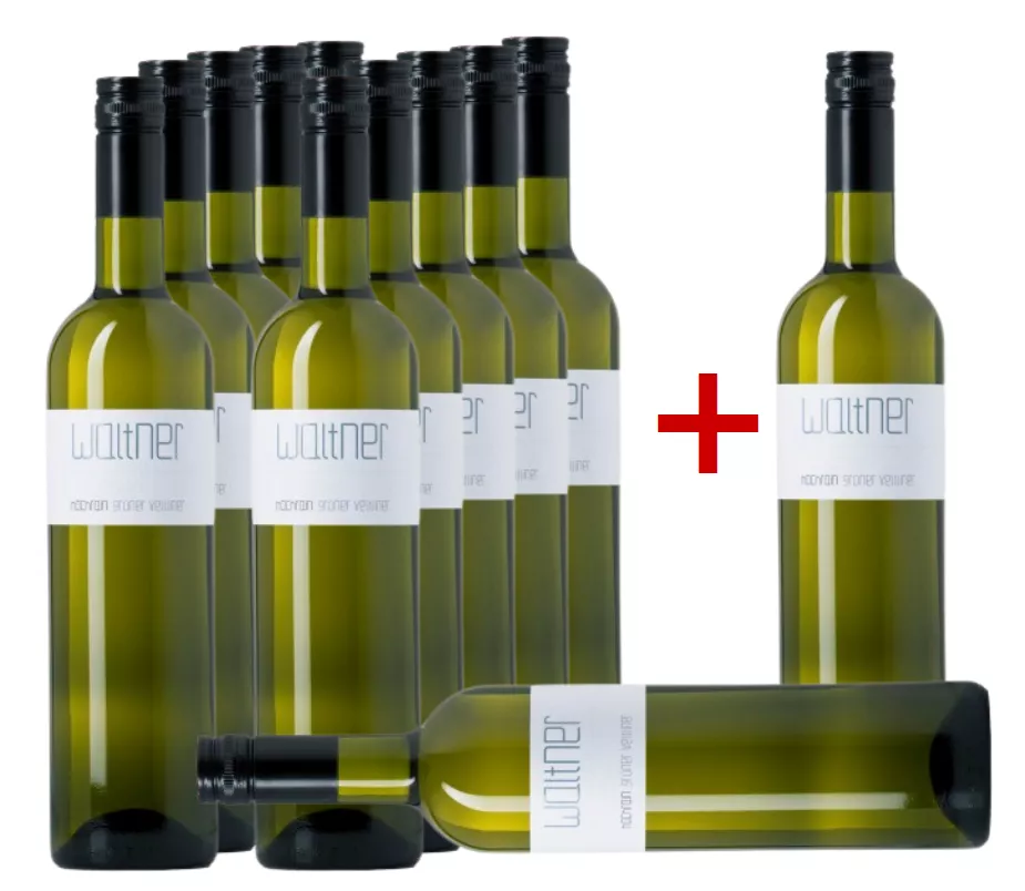 2020 Grüner Veltliner "Hochrain" im Vorteilspaket