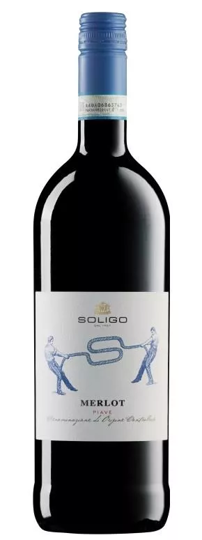 2019 Merlot DOC Piave 1 Liter