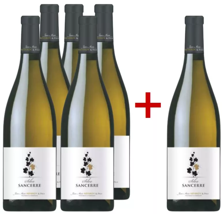 2019 Domaine de la Villaudière Silex Sancerre AOC im Vorteilspaket