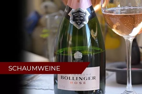 Schaumweine Weinseminar | November 2021