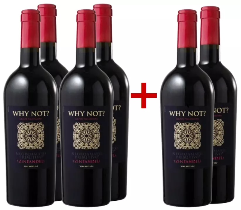 2019 Why Not? Negroamaro - Zinfandel im Vorteilspaket