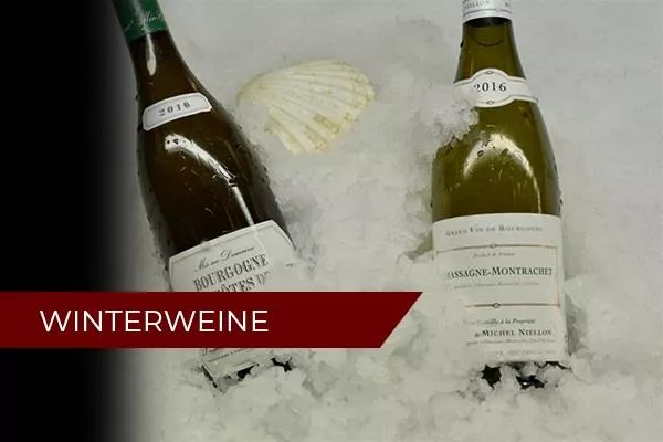 Winterweine Weinseminar | Februar 2022